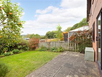 Picture 21